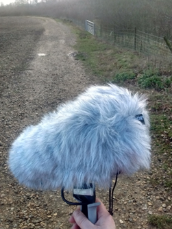 A hand holding a microphone with. agray, fuzzy microphone cover. A dirt path in the background.